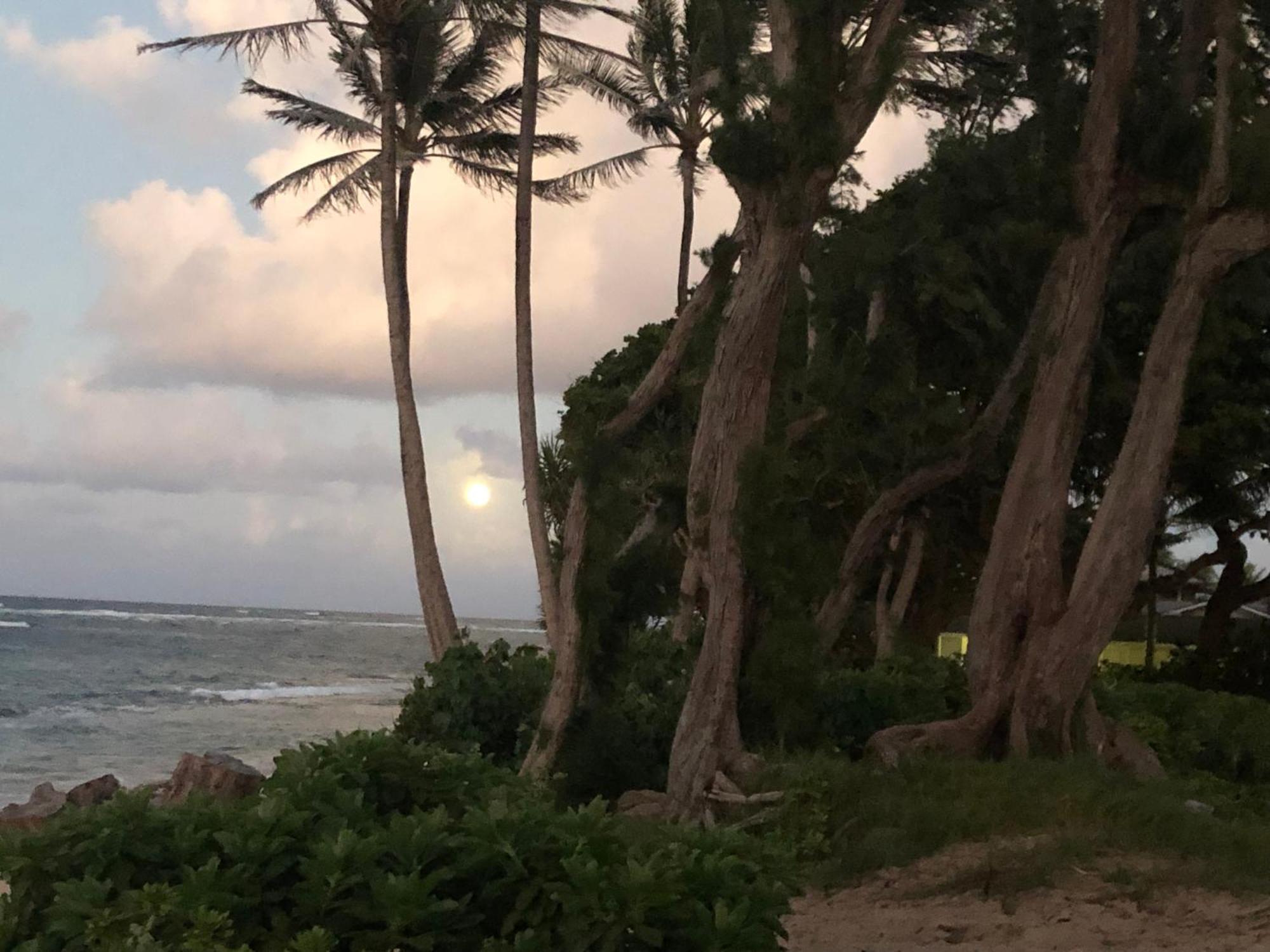 Tropical Treasure On A White Sandy Beach Villa Laie ภายนอก รูปภาพ